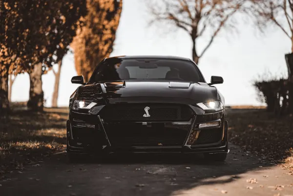 OG Casino App Android/iOS